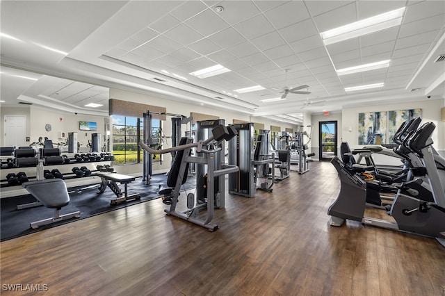 exercise room with ceiling fan, a drop ceiling, and dark hardwood / wood-style floors