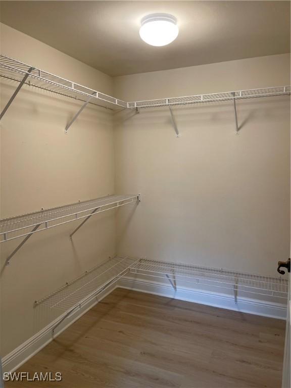 walk in closet with hardwood / wood-style flooring