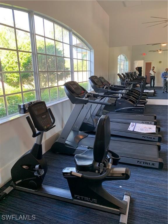 workout area featuring carpet flooring and ceiling fan