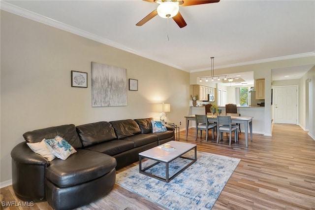 living room with ceiling fan, ornamental molding, and light hardwood / wood-style floors