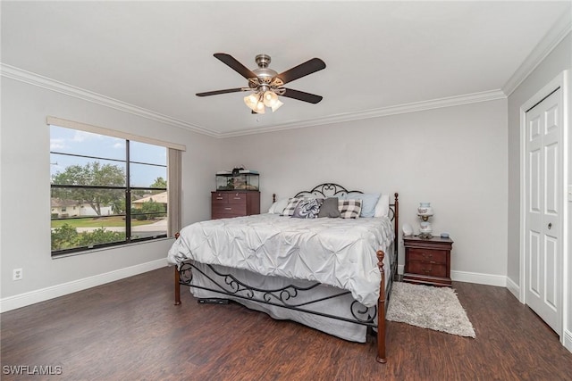 bedroom with ceiling fan, ornamental molding, dark wood-type flooring, and a closet