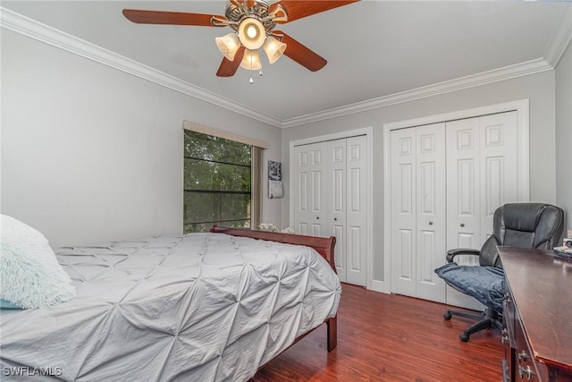 bedroom with ceiling fan, crown molding, wood-type flooring, and two closets