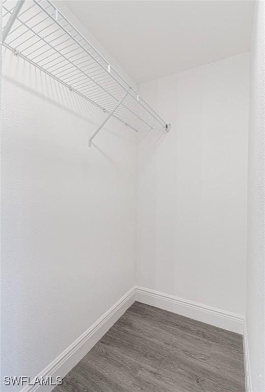 walk in closet with dark wood-type flooring