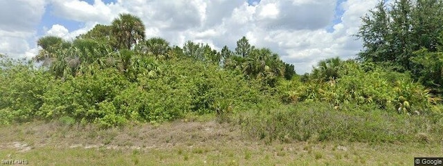 861 Milwaukee Blvd, Lehigh Acres FL, 33974 land for sale