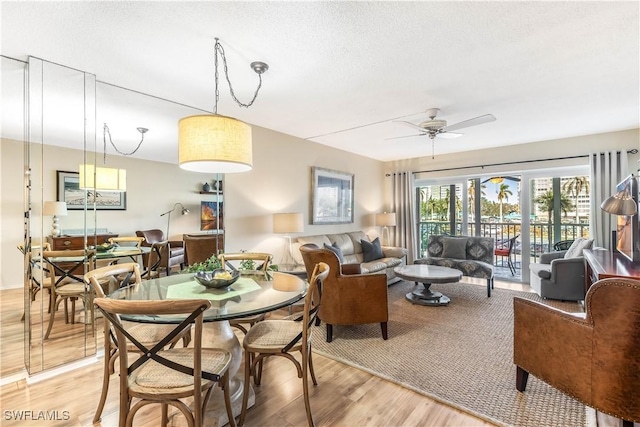 dining area featuring ceiling fan, light hardwood / wood-style floors, and a textured ceiling