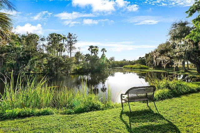 view of water feature