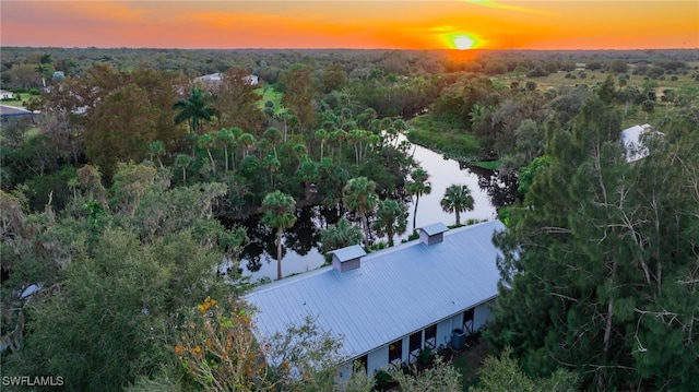 birds eye view of property with a water view and a wooded view