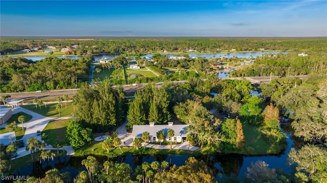 drone / aerial view with a water view and a wooded view