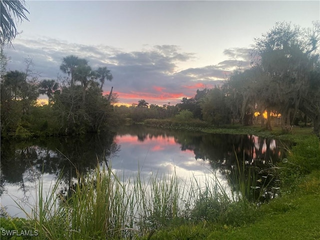 property view of water