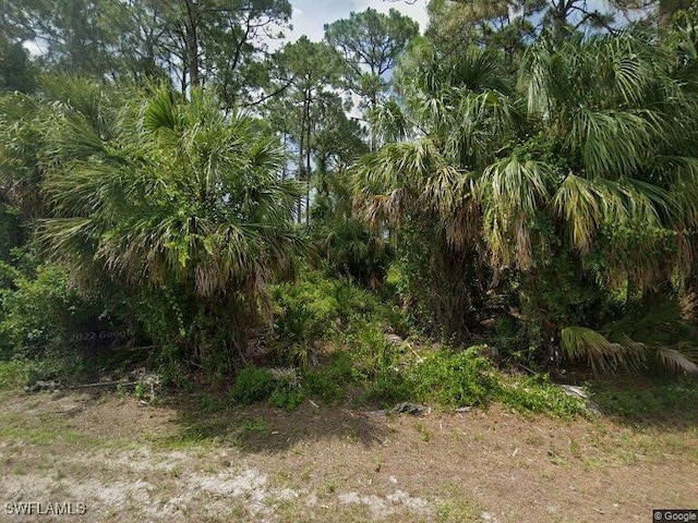 18116 Wallace Ave, Port Charlotte FL, 33954 land for sale