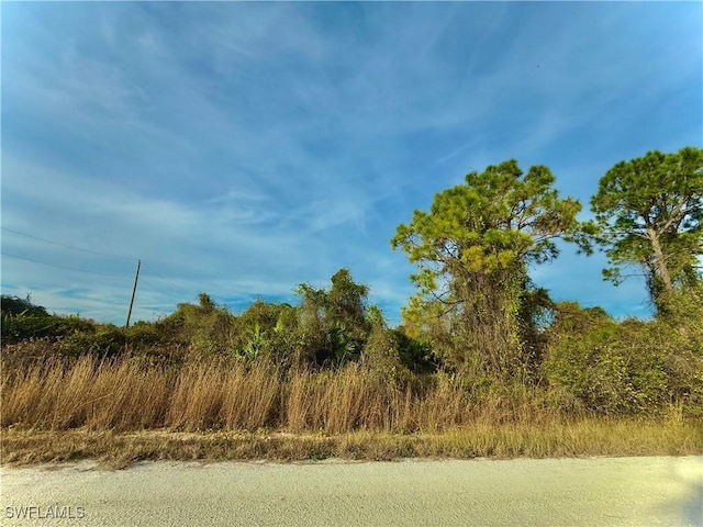 4187 E 31st St, Alva FL, 33920 land for sale