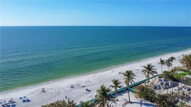 water view with a view of the beach