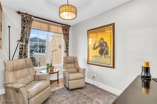 living area with a tray ceiling