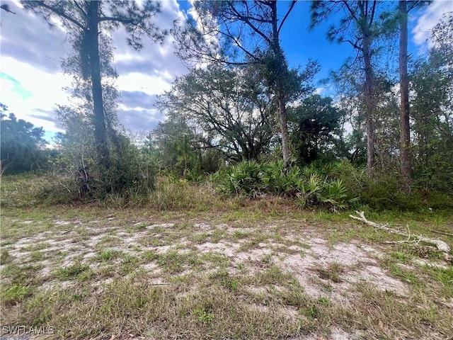 1123 Bowman Ter, Port Charlotte FL, 33953 land for sale