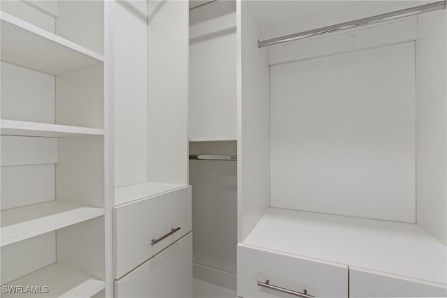 view of walk in closet