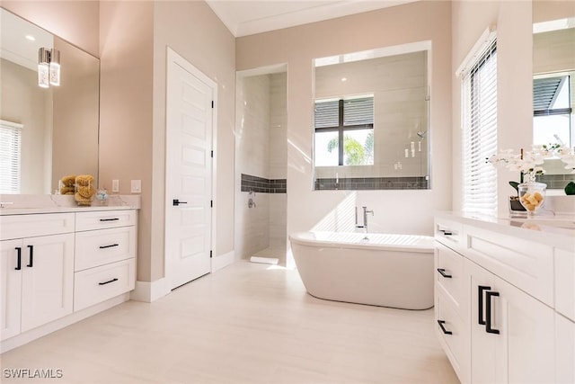 bathroom with separate shower and tub and vanity