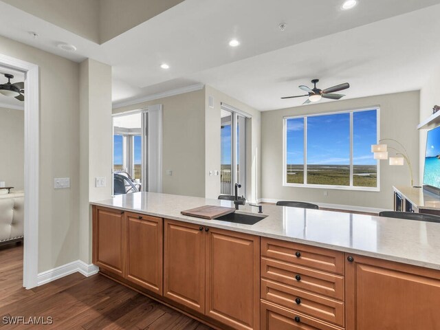 kitchen with ceiling fan, dark hardwood / wood-style flooring, light stone countertops, and sink