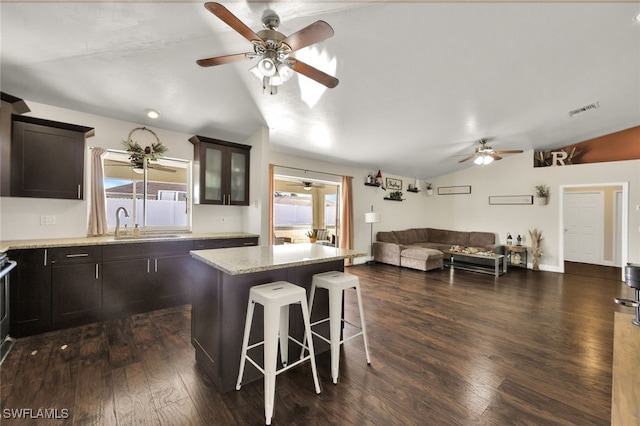 kitchen with vaulted ceiling, a kitchen island, dark hardwood / wood-style floors, and light stone counters