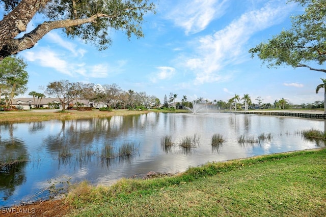 property view of water