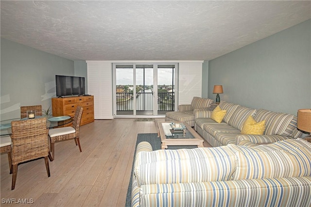 living room featuring light hardwood / wood-style floors and a textured ceiling