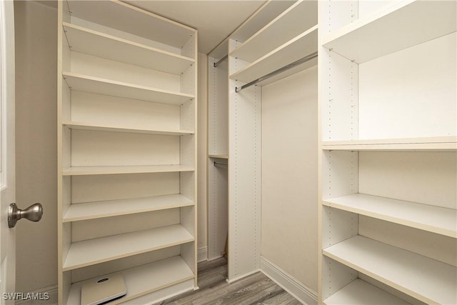 spacious closet with wood-type flooring