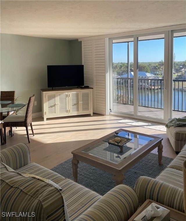 living room featuring a wealth of natural light and light hardwood / wood-style floors