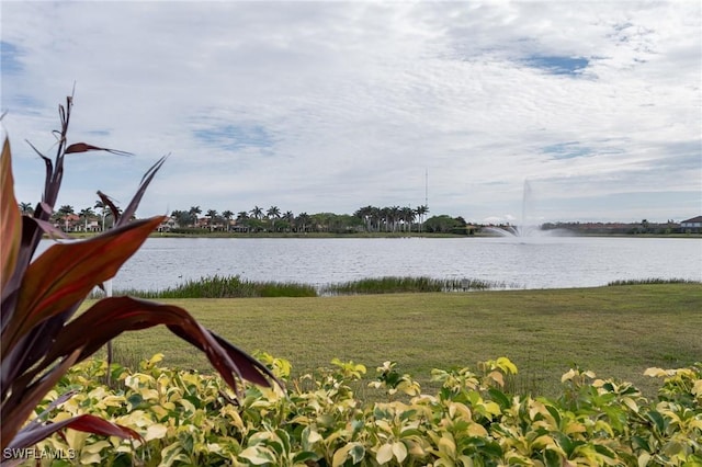 view of water feature