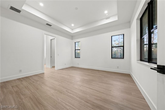 empty room featuring a healthy amount of sunlight, a raised ceiling, and light hardwood / wood-style floors