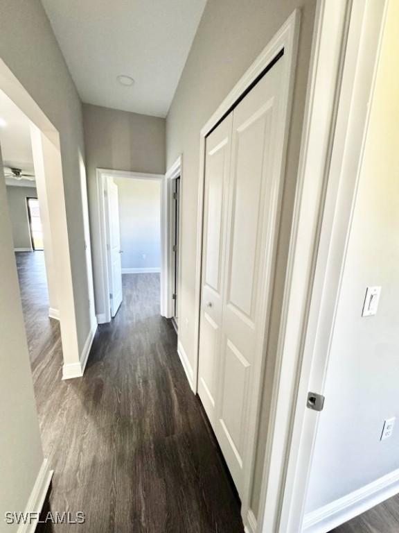 hallway with dark wood-type flooring