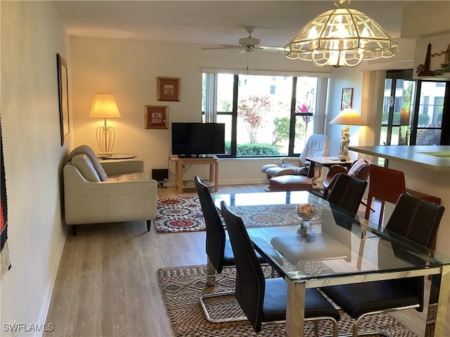 dining area with ceiling fan with notable chandelier and light hardwood / wood-style flooring