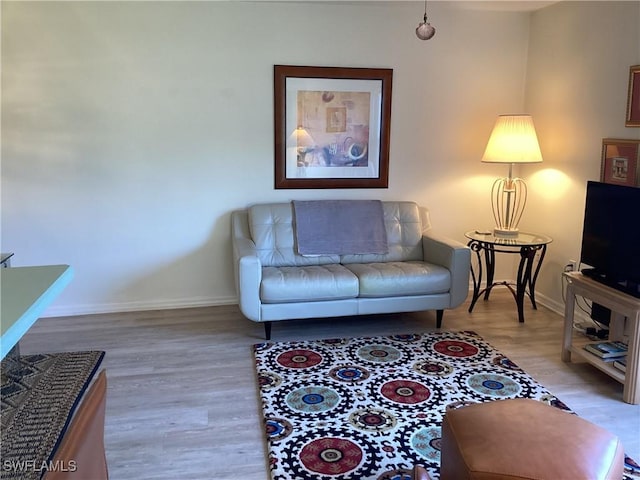 living room featuring light hardwood / wood-style floors