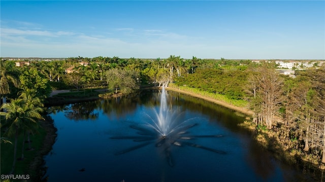 view of water feature