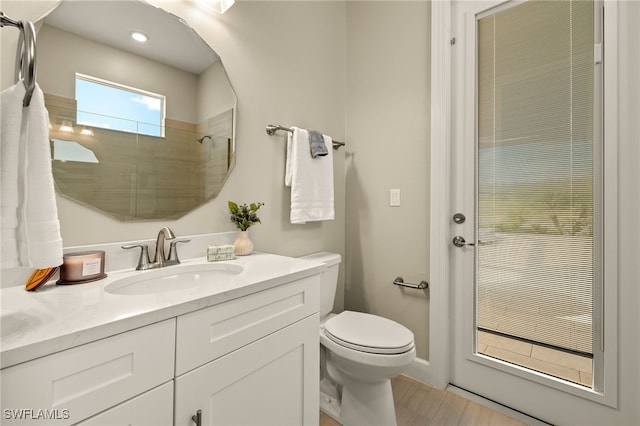 full bathroom featuring toilet, a shower, and vanity