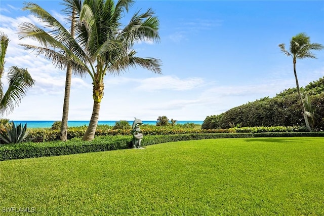 view of community featuring a water view and a yard