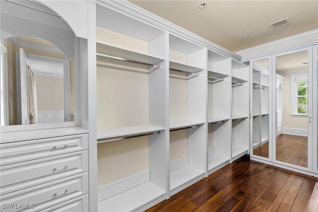 spacious closet with dark wood-type flooring