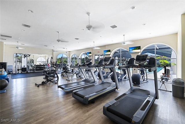 exercise room with ceiling fan and dark hardwood / wood-style floors