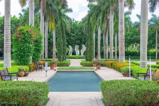 view of swimming pool