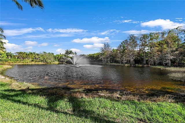 view of water feature