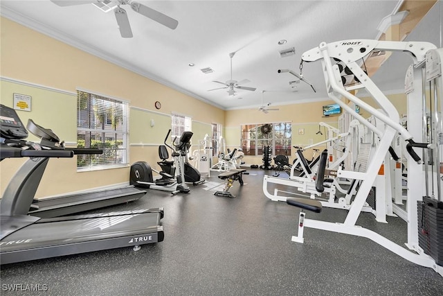 workout area featuring crown molding and ceiling fan