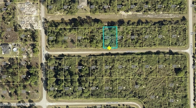 1241 Crystal St E, Lehigh Acres FL, 33974 land for sale