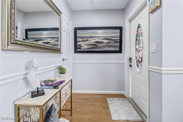 entrance foyer with light hardwood / wood-style flooring