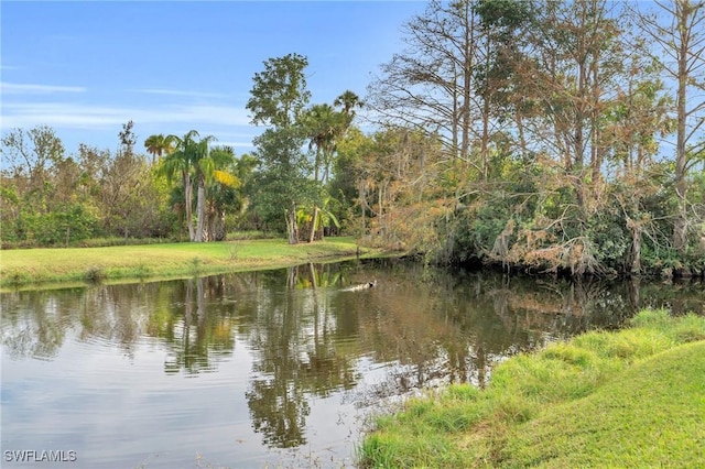 property view of water