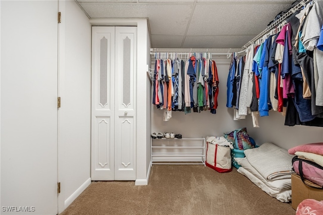 walk in closet with carpet