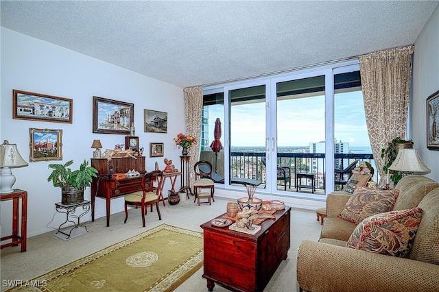 living room featuring floor to ceiling windows, carpet, and a textured ceiling