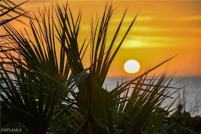 view of nature at dusk