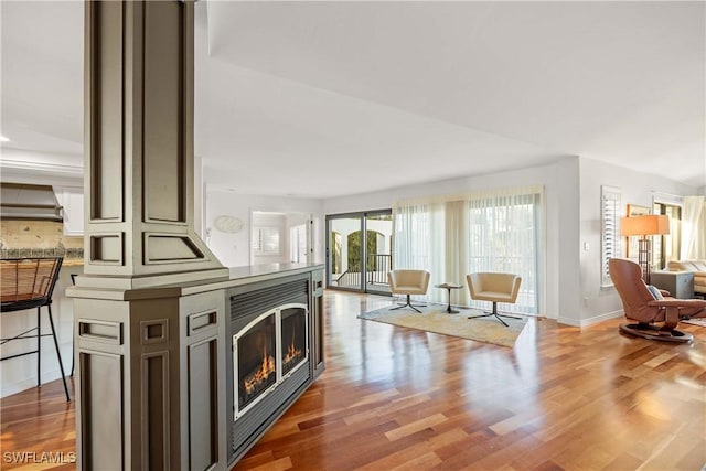 living room with wood-type flooring