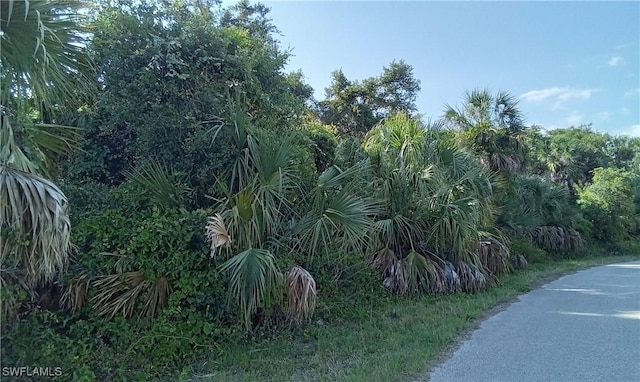 Listing photo 3 for Blueberry Rd, North Port FL 34288