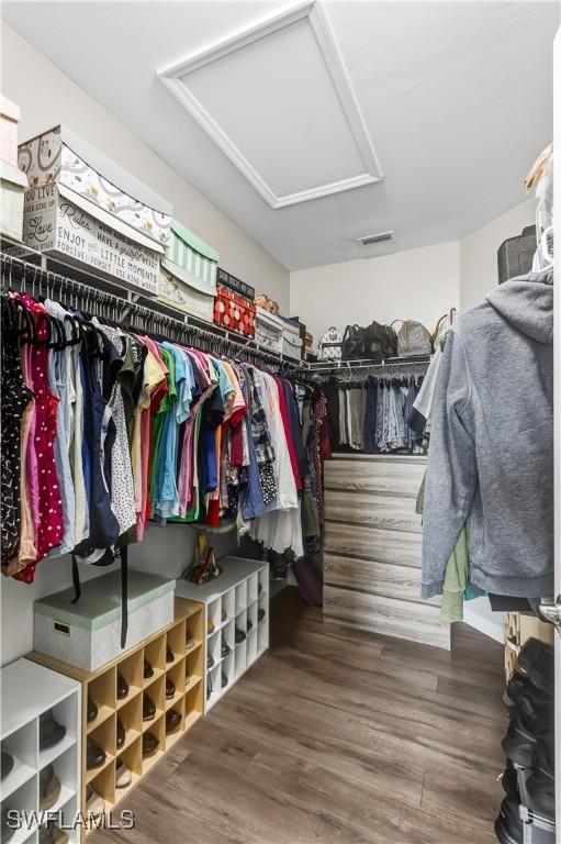 spacious closet with wood-type flooring