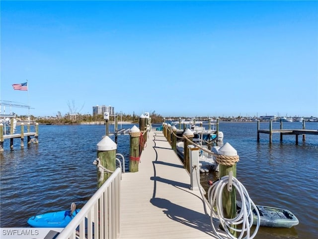 dock area with a water view