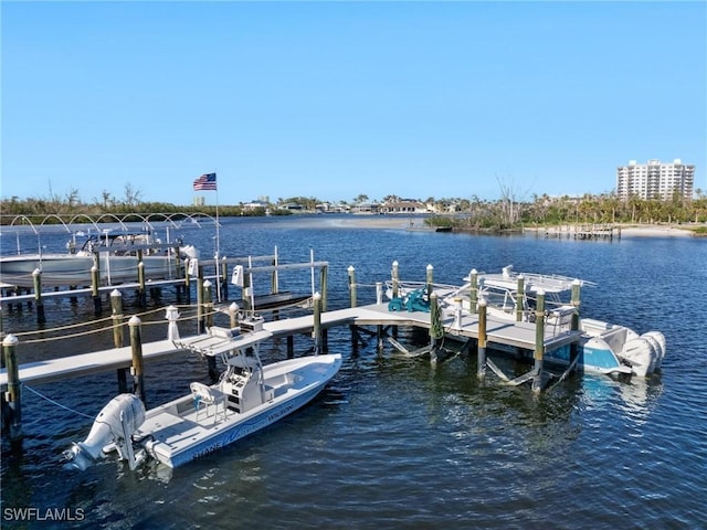 dock area with a water view